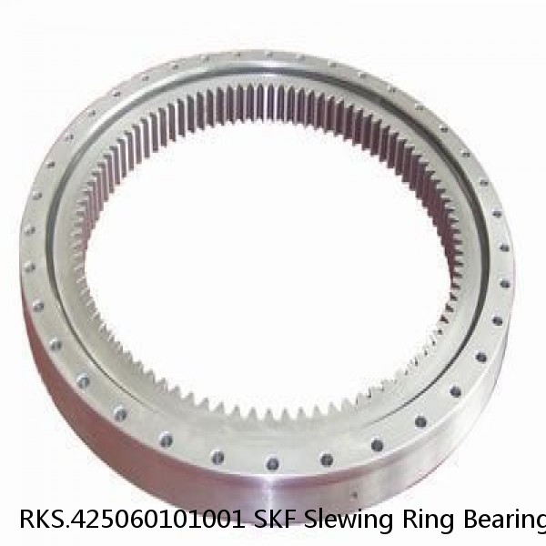 RKS.425060101001 SKF Slewing Ring Bearings