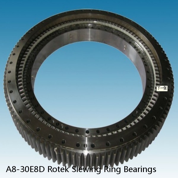 A8-30E8D Rotek Slewing Ring Bearings