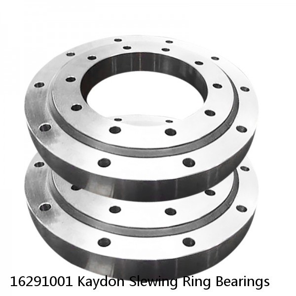 16291001 Kaydon Slewing Ring Bearings