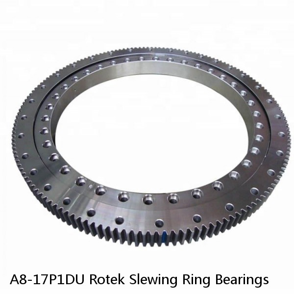A8-17P1DU Rotek Slewing Ring Bearings