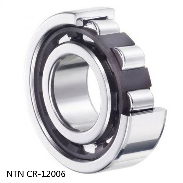 CR-12006 NTN Cylindrical Roller Bearing