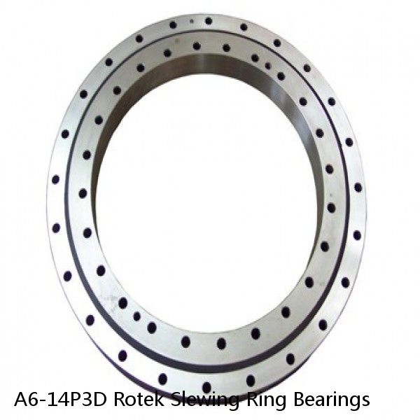 A6-14P3D Rotek Slewing Ring Bearings #1 small image