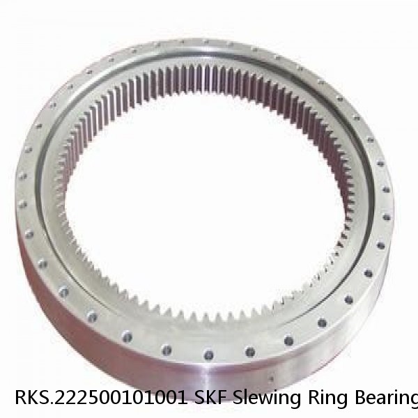 RKS.222500101001 SKF Slewing Ring Bearings