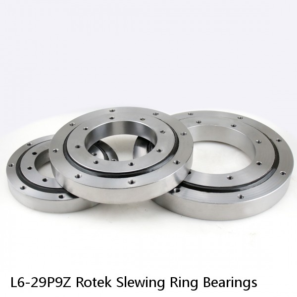 L6-29P9Z Rotek Slewing Ring Bearings #1 small image