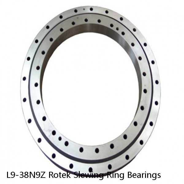 L9-38N9Z Rotek Slewing Ring Bearings