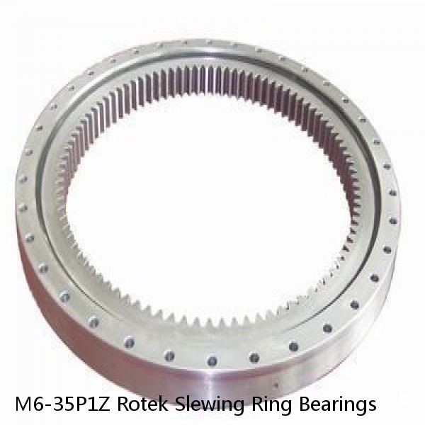 M6-35P1Z Rotek Slewing Ring Bearings