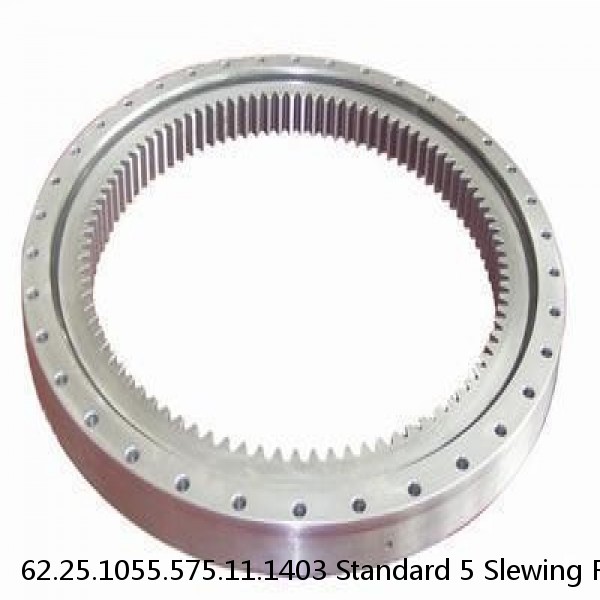 62.25.1055.575.11.1403 Standard 5 Slewing Ring Bearings