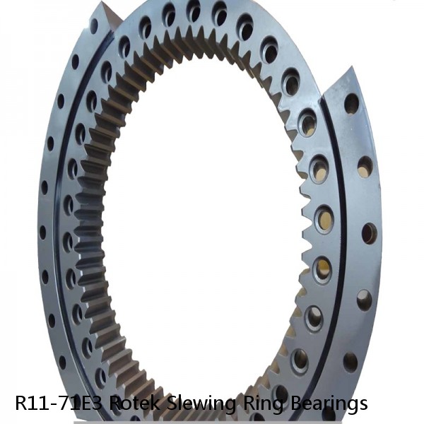 R11-71E3 Rotek Slewing Ring Bearings #1 small image