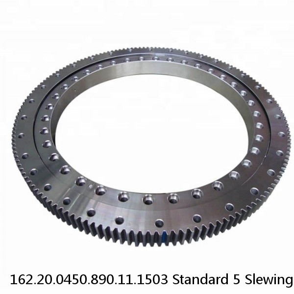 162.20.0450.890.11.1503 Standard 5 Slewing Ring Bearings