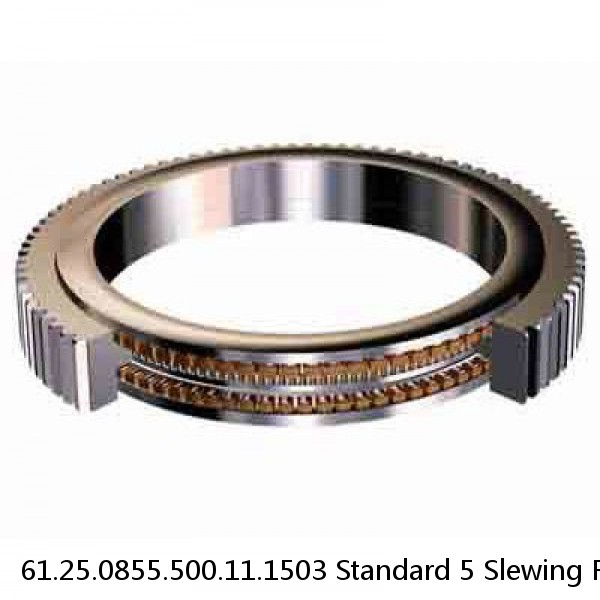 61.25.0855.500.11.1503 Standard 5 Slewing Ring Bearings #1 small image