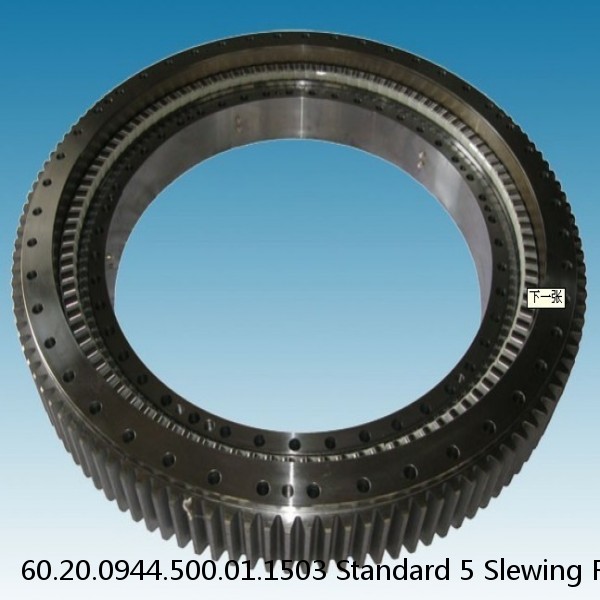 60.20.0944.500.01.1503 Standard 5 Slewing Ring Bearings #1 small image