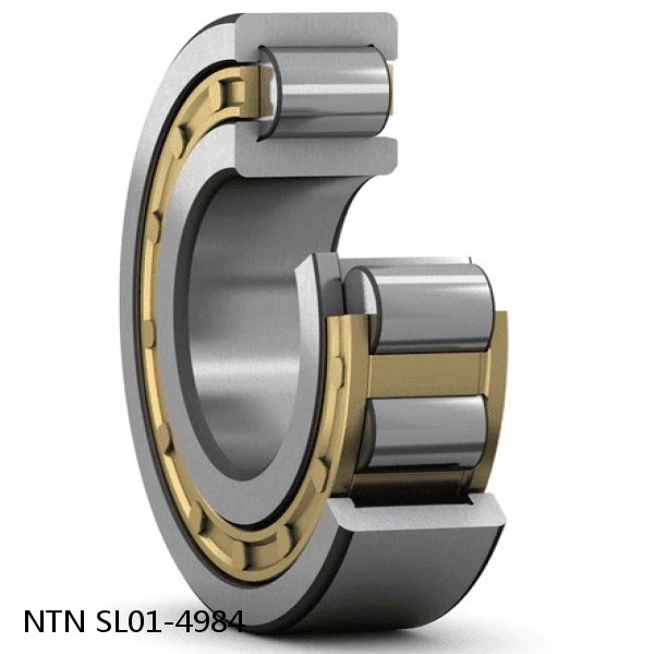 SL01-4984 NTN Cylindrical Roller Bearing #1 small image