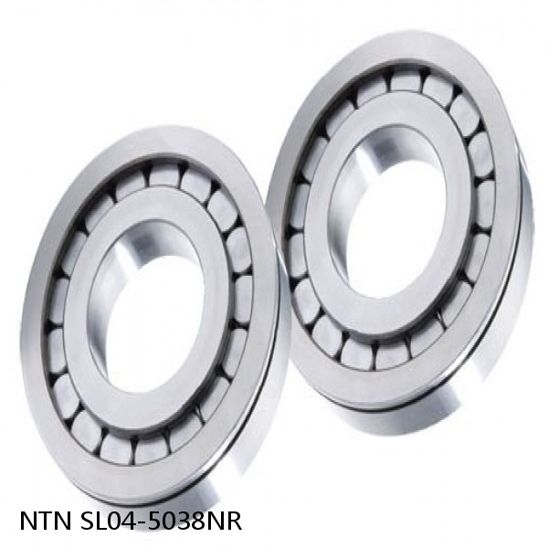SL04-5038NR NTN Cylindrical Roller Bearing