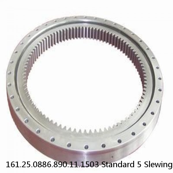 161.25.0886.890.11.1503 Standard 5 Slewing Ring Bearings #1 image