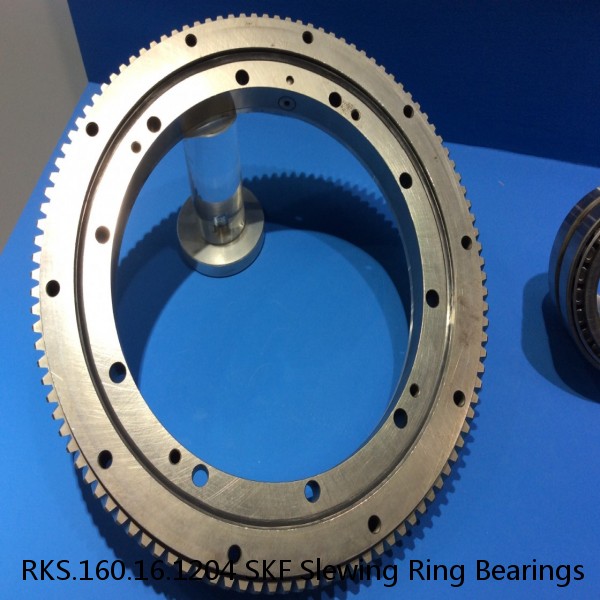 RKS.160.16.1204 SKF Slewing Ring Bearings #1 image