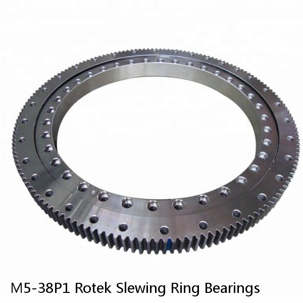 M5-38P1 Rotek Slewing Ring Bearings #1 image