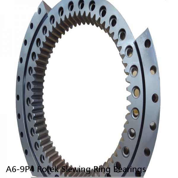 A6-9P4 Rotek Slewing Ring Bearings #1 image