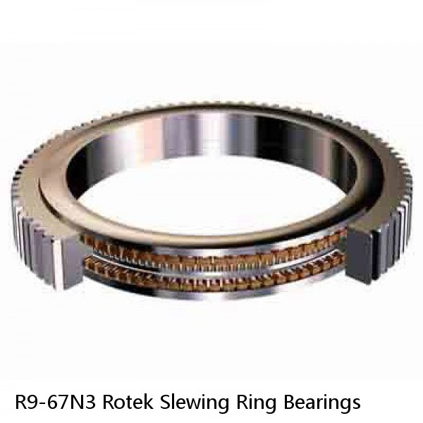 R9-67N3 Rotek Slewing Ring Bearings #1 image