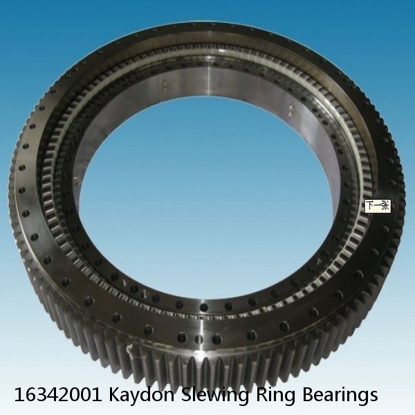 16342001 Kaydon Slewing Ring Bearings #1 image