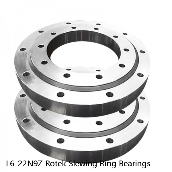 L6-22N9Z Rotek Slewing Ring Bearings #1 image