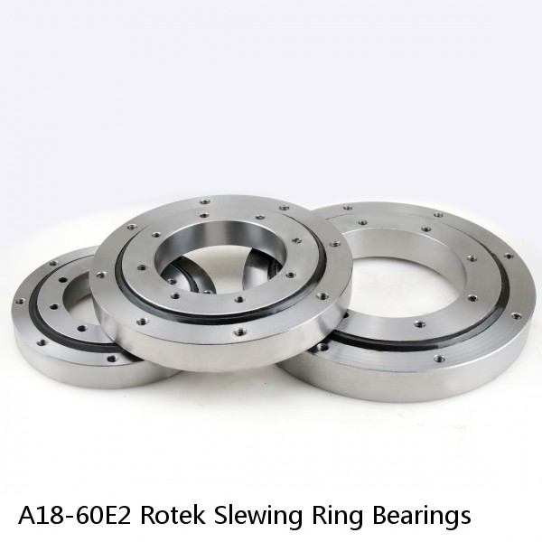 A18-60E2 Rotek Slewing Ring Bearings #1 image