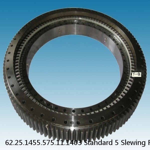 62.25.1455.575.11.1403 Standard 5 Slewing Ring Bearings #1 image