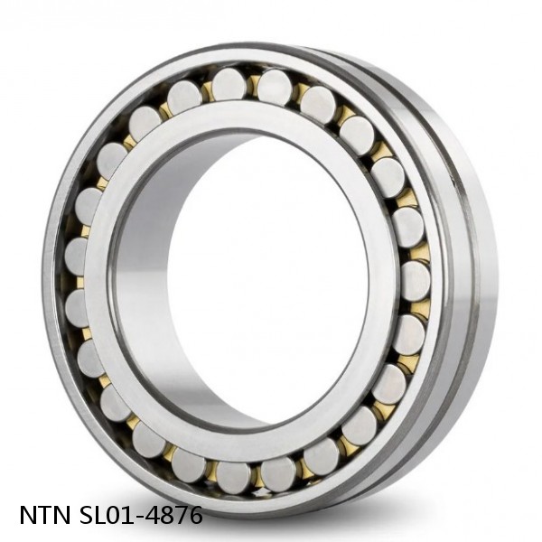 SL01-4876 NTN Cylindrical Roller Bearing #1 image